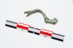 Foto von Bronzecertosafibel (NHMW-PRAE-026555)